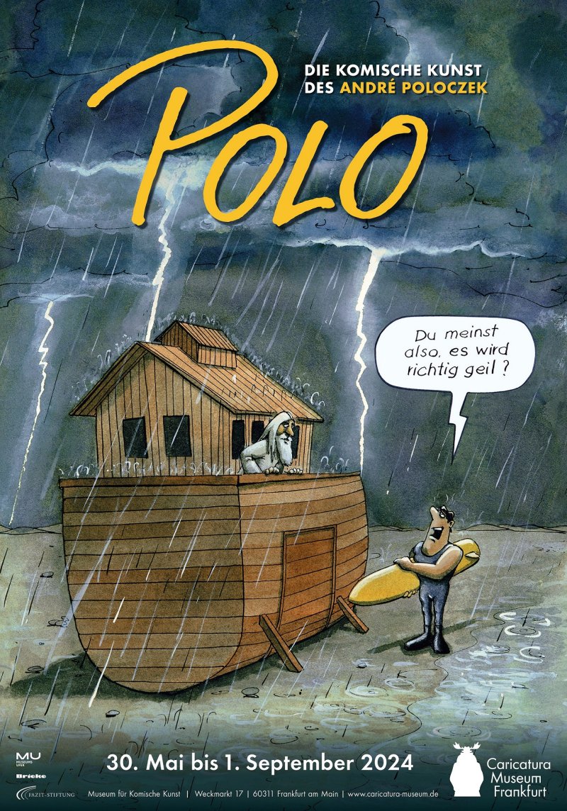 polo.jpg